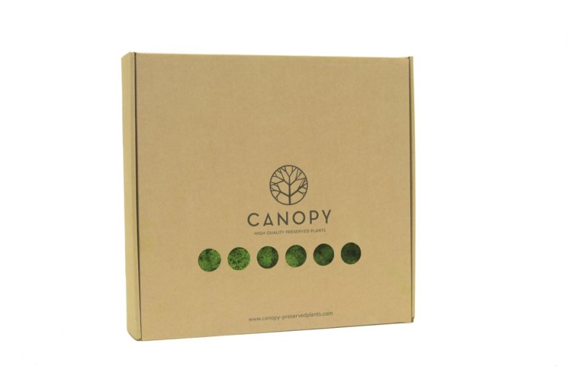 Stabilizovaný LIŠEJNÍK (sobí mech) Canopy | PŘÍRODNĚ ZELENÝ | 100 g