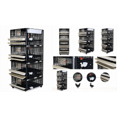 klec 2 750x750 klec 2 750x750