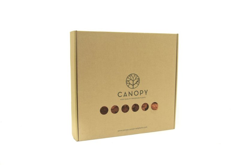 Stabilizovaný LIŠEJNÍK (sobí mech) Canopy | ORANŽOVÝ | 100 g