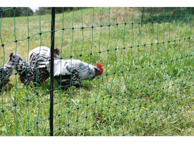 Nevodivá síť pro drůbež KERBL 106 cm x 50 m / 2 hroty