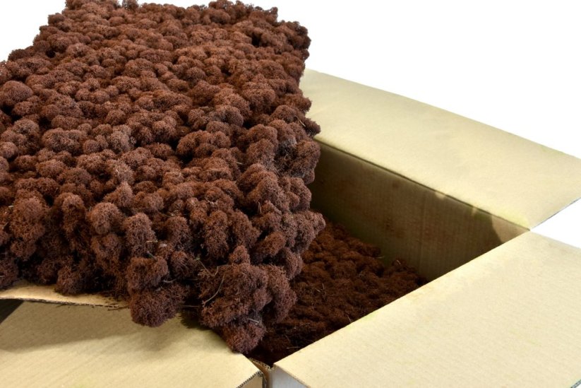 Stabilizovaný LIŠEJNÍK (sobí mech) Canopy | HNĚDÝ | 100 g