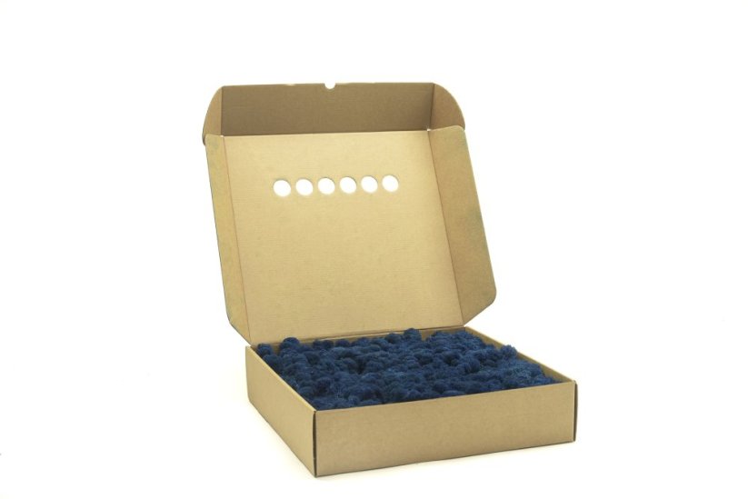 Stabilizovaný LIŠEJNÍK (sobí mech) Canopy | MODRÝ | 100 g