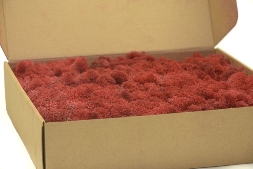 Stabilizovaný LIŠEJNÍK (sobí mech) Canopy | ČERVENÝ | 100 g