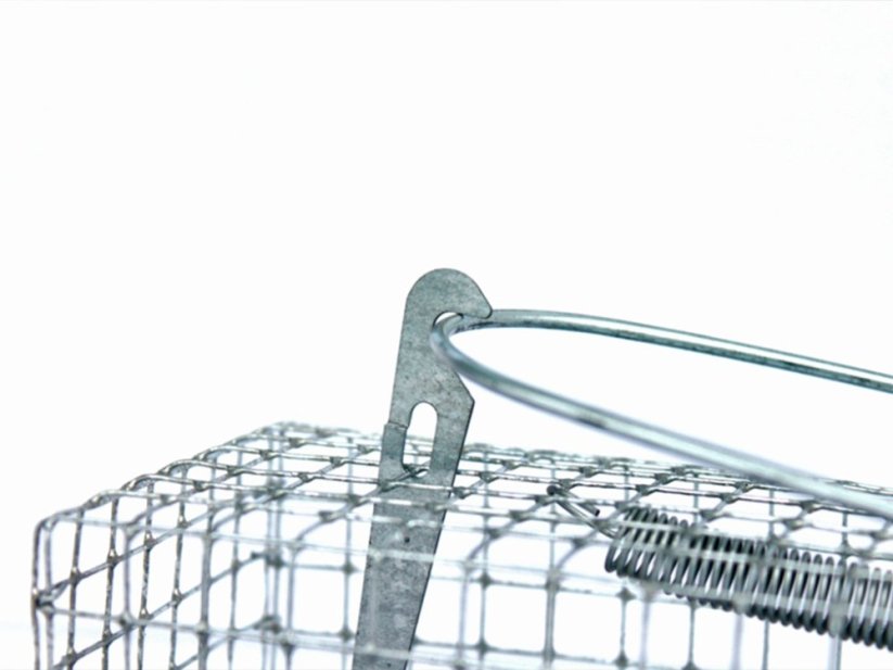 Past na myši a hraboše