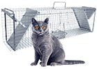 Sklopce na kočky - Produkt - Zvěř