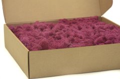 Stabilizovaný LIŠEJNÍK (sobí mech) Canopy | FIALOVÝ | 100 g