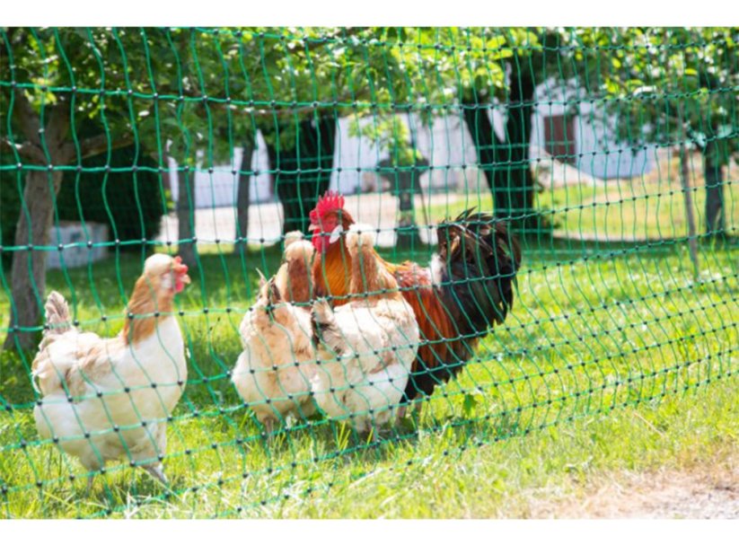 Nevodivá síť pro drůbež KERBL 106 cm x 50 m / 2 hroty