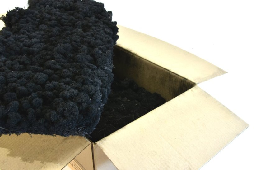 Stabilizovaný LIŠEJNÍK (sobí mech) Canopy | ČERNÝ | 100 g