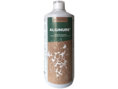 Alginure