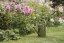 Zahradní kovová konev Kent & Stowe | 4,5l | Zelená / Tweed Green
