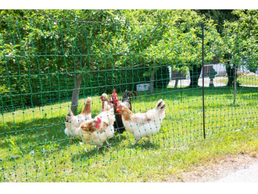 Nevodivá síť pro drůbež KERBL 106 cm x 50 m / 1 hrot