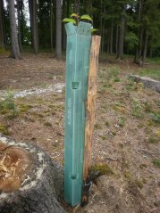 Ochranný tubus na stromky 150cm Bovram