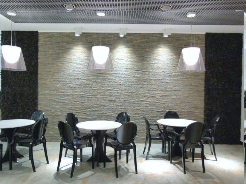 Stabilizovaný LIŠEJNÍK (sobí mech) Canopy | ČERNÝ | 100 g