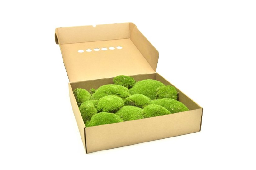 Stabilizovaný kopečkový mech (Ball Moss) Canopy | Světle zelený | 100 g