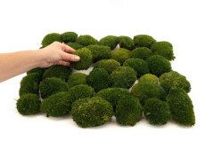 MINI MOUSSE BOULE NATUREGREEN 6 LIGHT MINI MOUSSE BOULE NATUREGREEN 6 LIGHT