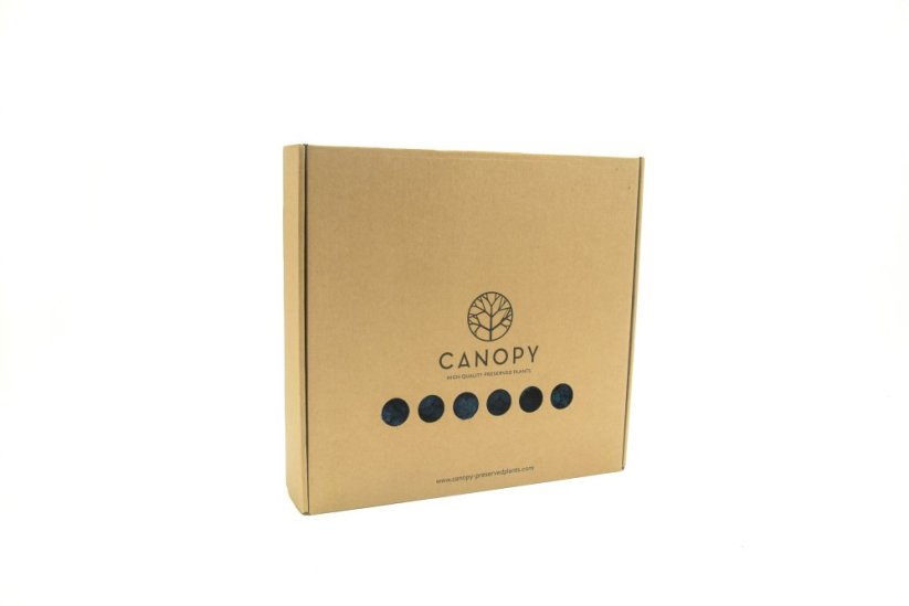 Stabilizovaný LIŠEJNÍK (sobí mech) Canopy | MODRÝ | 100 g