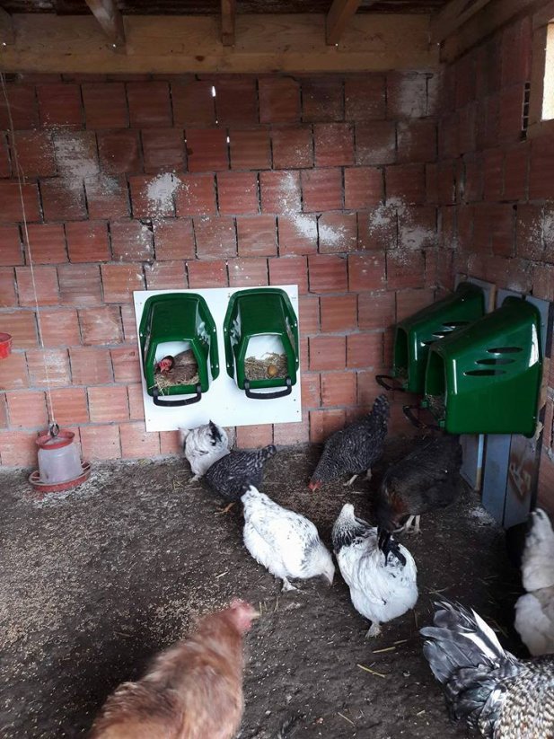 Plastové snáškové hnízdo pro slepice