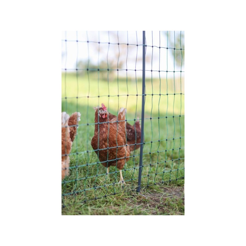 Síť pro drůbež, výška 122 cm, délka 50 m