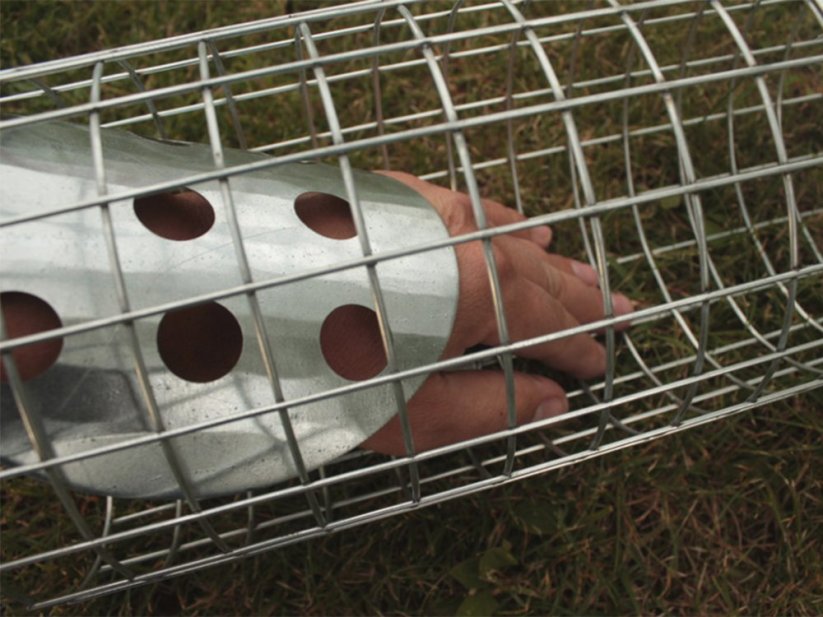 Okapová past na kuny, potkany, krysy a lasičky TRAP