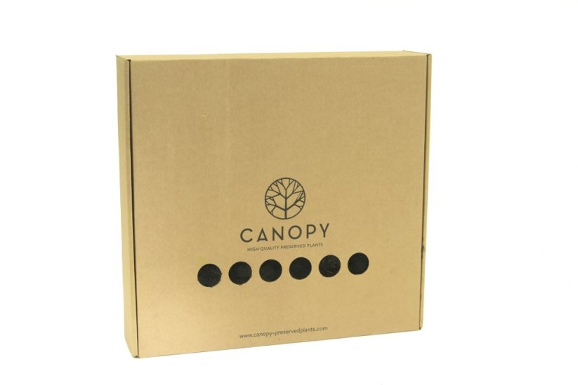 Stabilizovaný LIŠEJNÍK (sobí mech) Canopy | ČERNÝ | 100 g