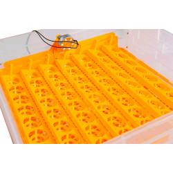 Automatická líheň s regulací vlhkosti WQ-56A