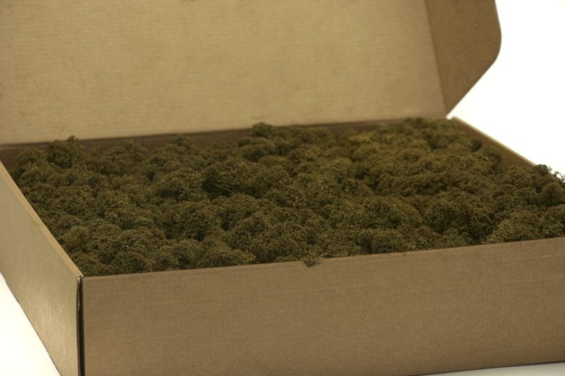 Stabilizovaný LIŠEJNÍK (sobí mech) Canopy | HNĚDÝ | 100 g