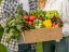 Frassio organicke hmyzi hnojivo produkt 2