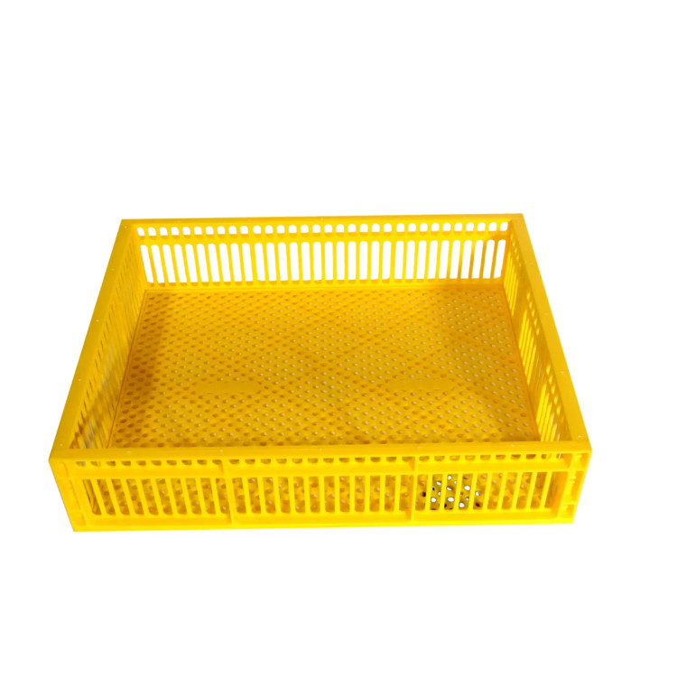 Plně automatická líheň na vejce AY-84