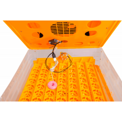 Automatická líheň s regulací vlhkosti WQ-56A