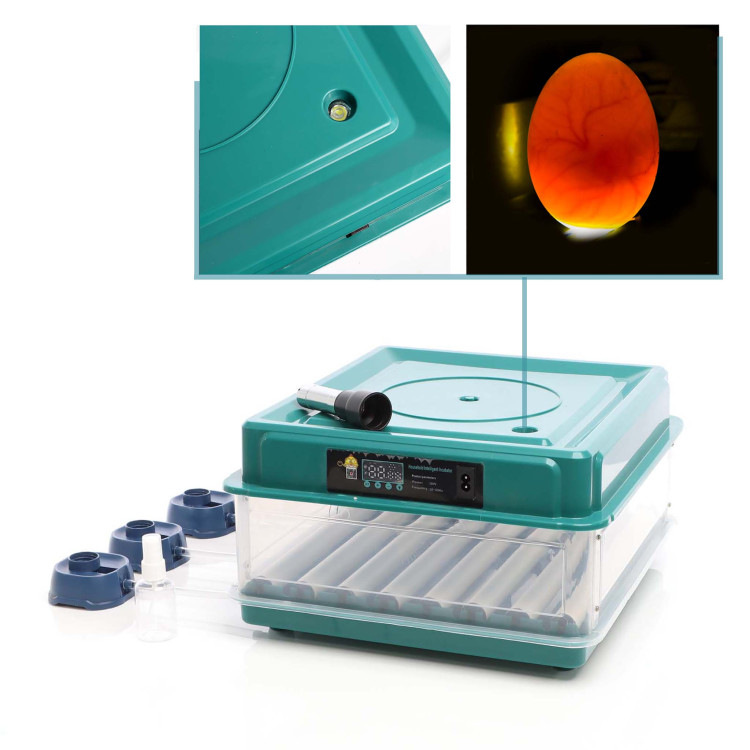 Automatická digitální líheň AGF-48 s dolíhní a vlhkoměrem. Pro 48 vajec.