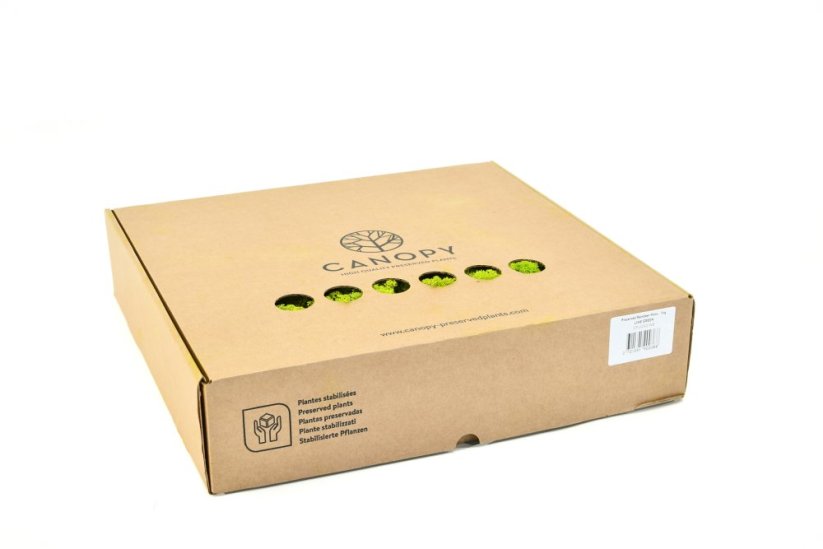Stabilizovaný LIŠEJNÍK (sobí mech) Canopy | LIMETKOVĚ ZELENÝ | 100 g