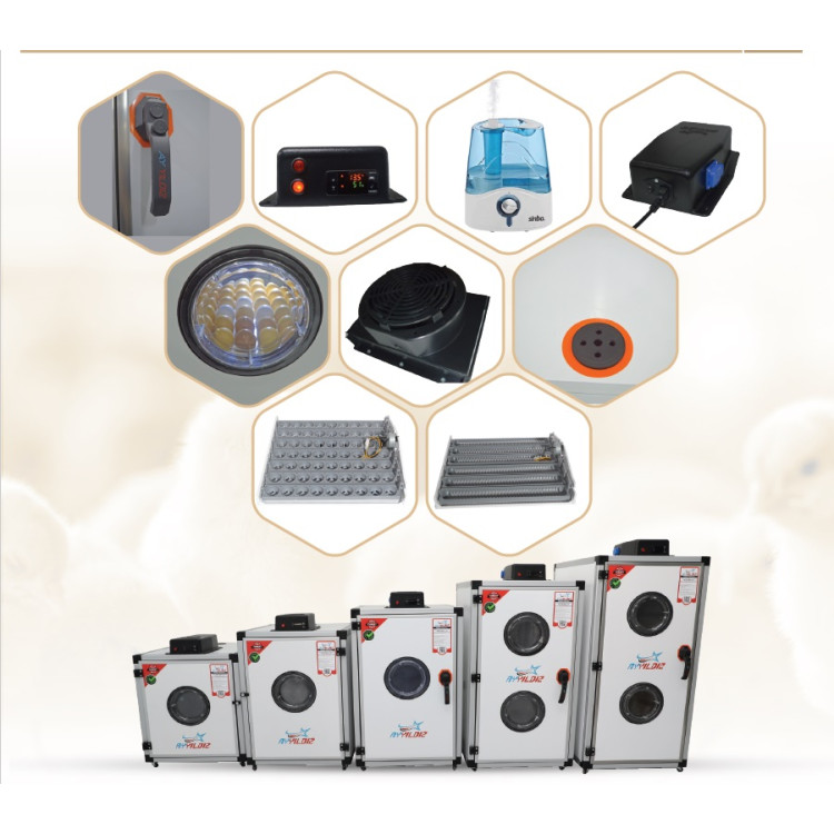 Plně automatická líheň na vejce AY-126