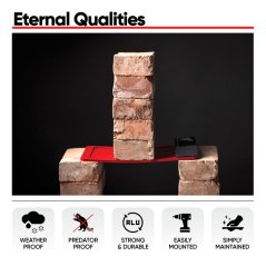Eternal%20INFOGRAFIKE%20RED 4 750x750 Eternal%20INFOGRAFIKE%20RED 4 750x750