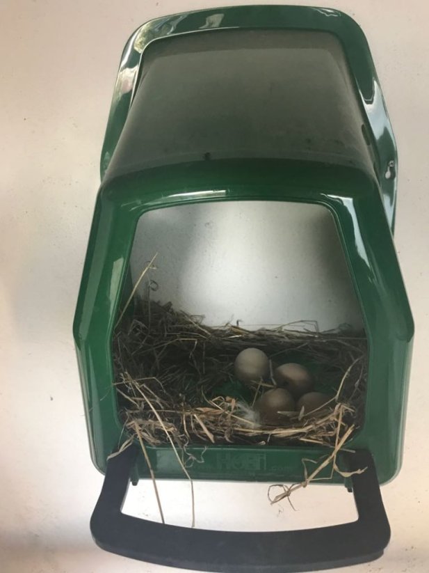 Plastové snáškové hnízdo pro slepice