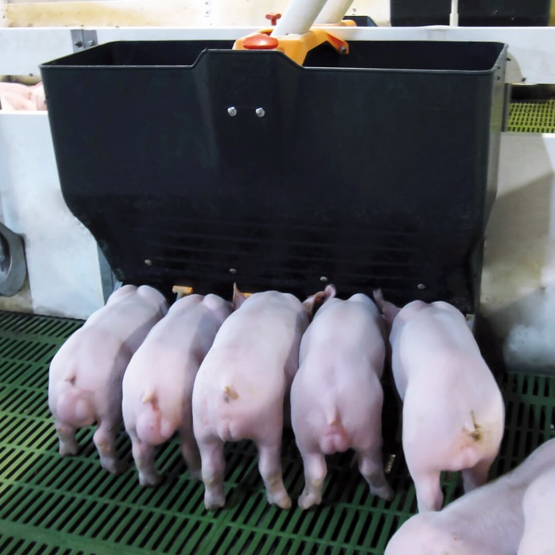 Krmný automat pro prasata TR-5