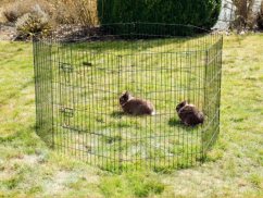 Výběh pro drůbež, králíky a štěňata osmistěnný KERBL 57x78 cm
