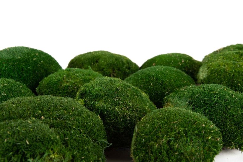 Stabilizovaný kopečkový mech (Ball Moss) Canopy | Přírodně zelený | 100 g