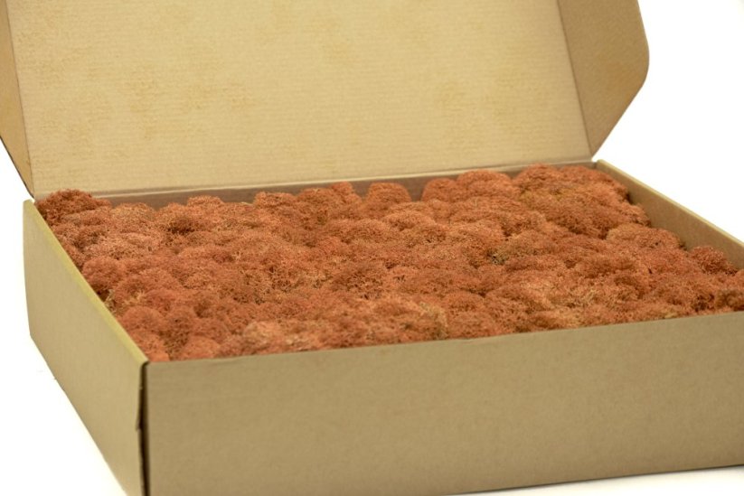 Stabilizovaný LIŠEJNÍK (sobí mech) Canopy | ORANŽOVÝ | 100 g