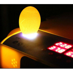 Automatická líheň s regulací vlhkosti WQ-60