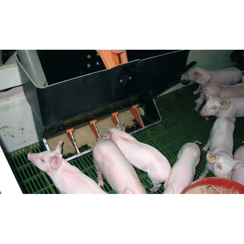 Krmný automat pro prasata TR-5