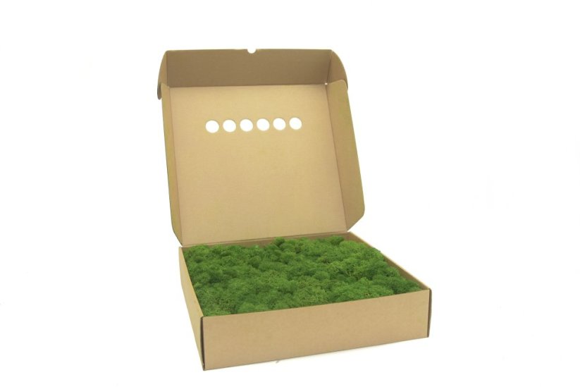 Stabilizovaný LIŠEJNÍK (sobí mech) Canopy | PŘÍRODNĚ ZELENÝ | 0,7m2