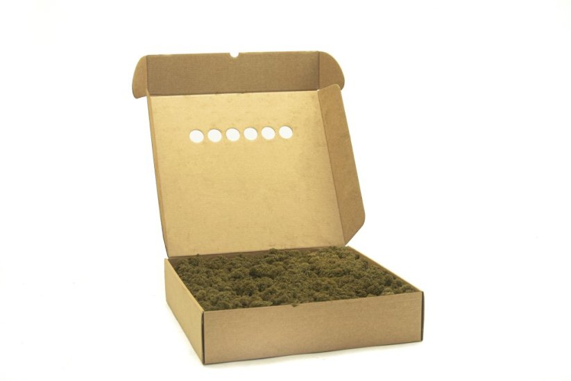 Stabilizovaný LIŠEJNÍK (sobí mech) Canopy | HNĚDÝ | 100 g