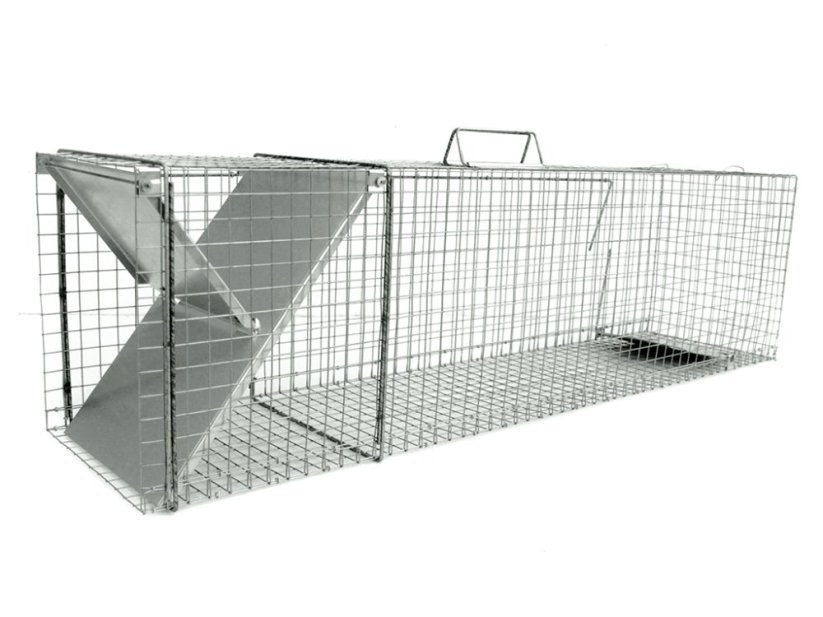 Past na kuny, potkany, lasičky, krysy, kočky a tchoře