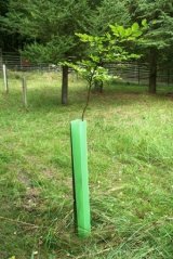 Ochranný tubus na stromky 120cm Bovram