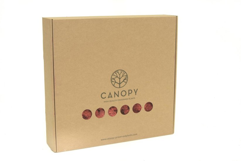Stabilizovaný LIŠEJNÍK (sobí mech) Canopy | ČERVENÝ | 100 g