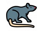 Hubení myší a potkanů - Produkt - nástrahy