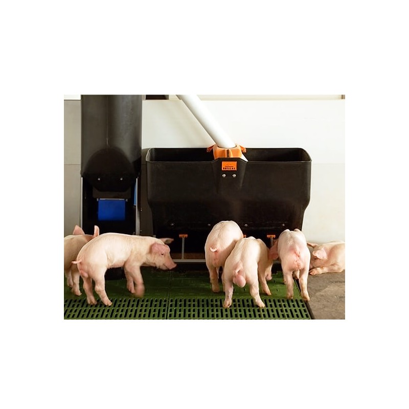 Krmný automat pro prasata TR-5
