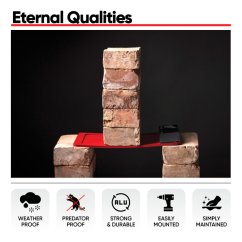 Eternal%20INFOGRAFIKE%20RED 4 750x750