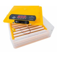 Automatická líheň s regulací vlhkosti WQ-60