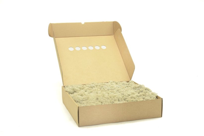 Stabilizovaný LIŠEJNÍK (sobí mech) Canopy | KRÉMOVÝ | 100 g